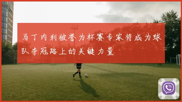 马丁内利被誉为杯赛专家将成为球队夺冠路上的关键力量