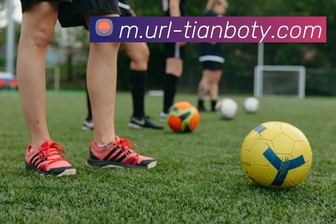 天博体育平台生态图