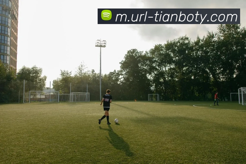 天博体育APP 封面图